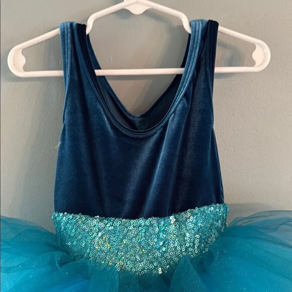 Girl’s Small blue Ballet Tutu Dress Dance Fairy Princess dress ~ Dress Up